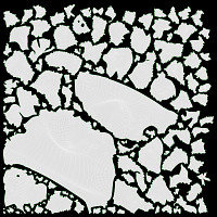 Cooked pasta orecchiette