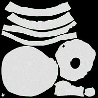 Dried Shiitaki mushrooms