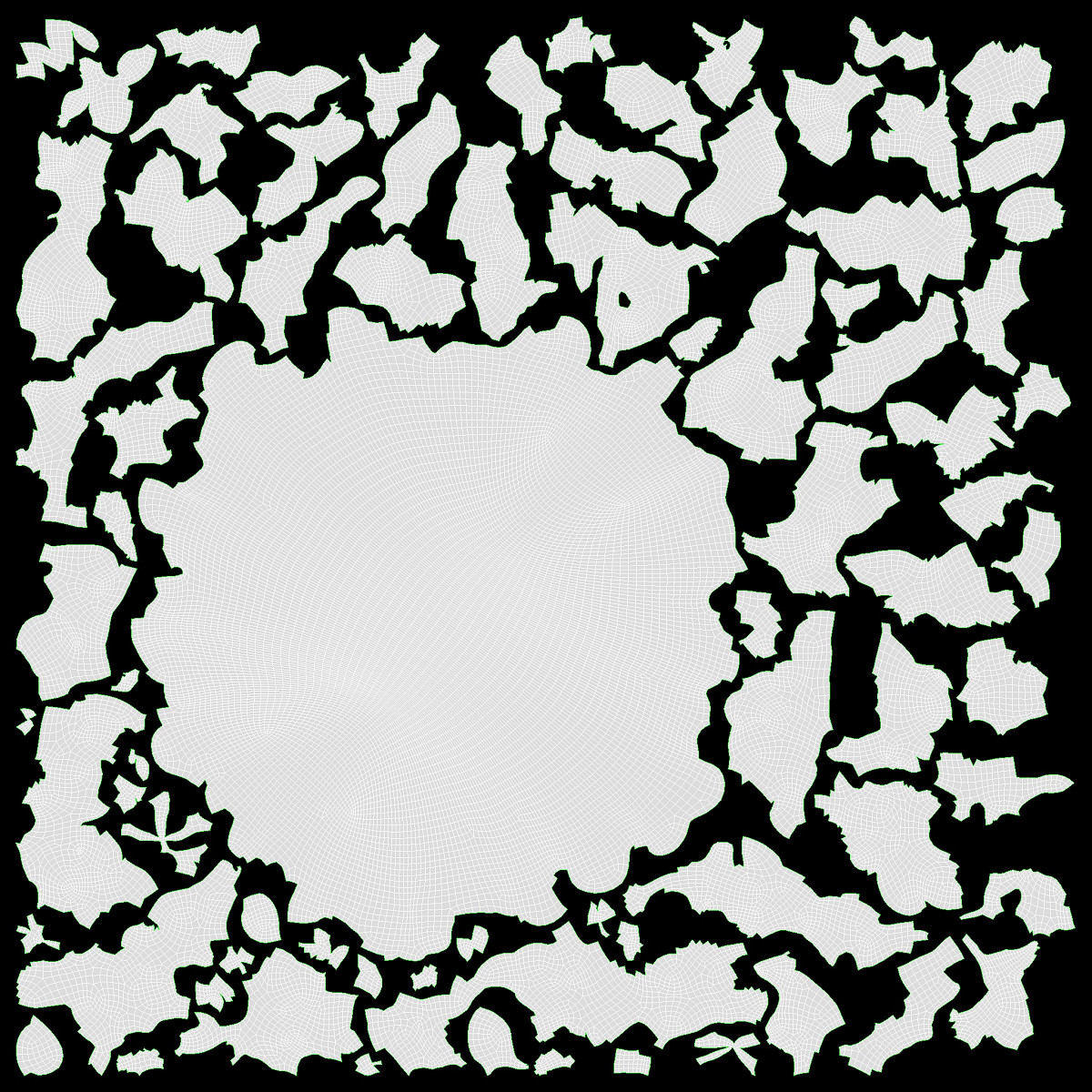 Cooked small white beans