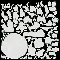 Cooked large white beans