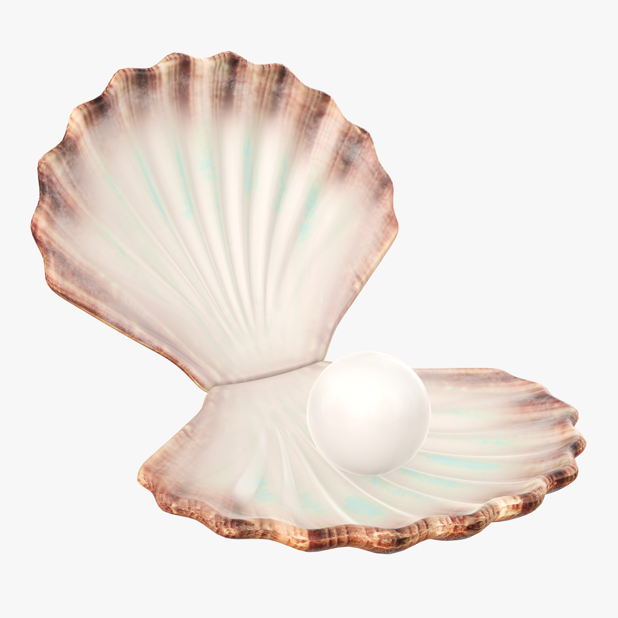 Pearl inside seashell PBR 3D Model